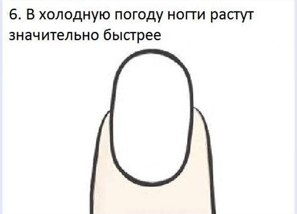 VFL.RU -  