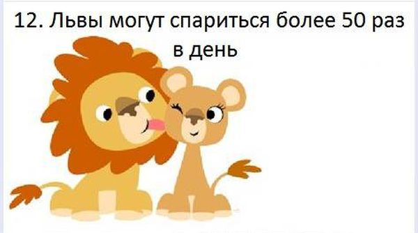 VFL.RU -  