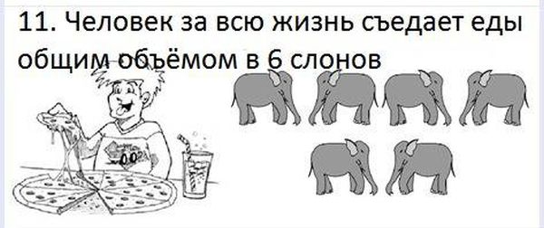 VFL.RU -  