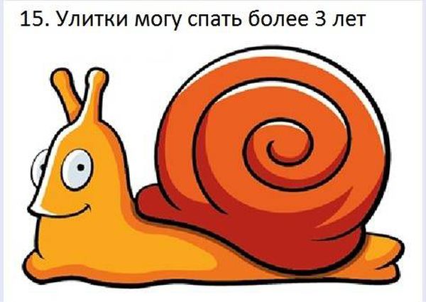 VFL.RU -  