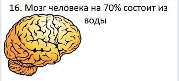 VFL.RU -  