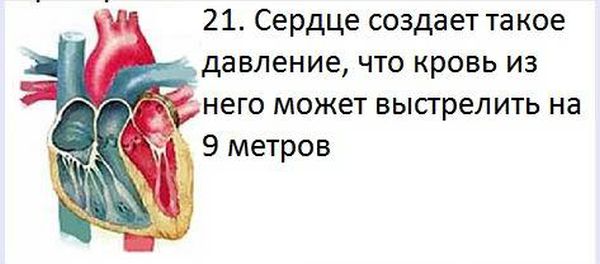 VFL.RU -  