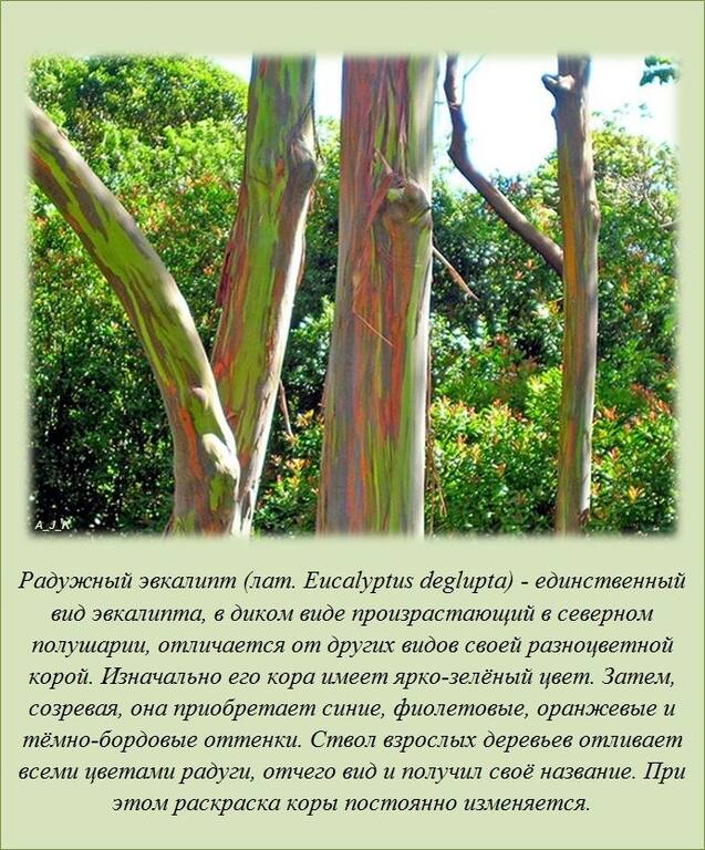 VFL.RU - ��� �����������