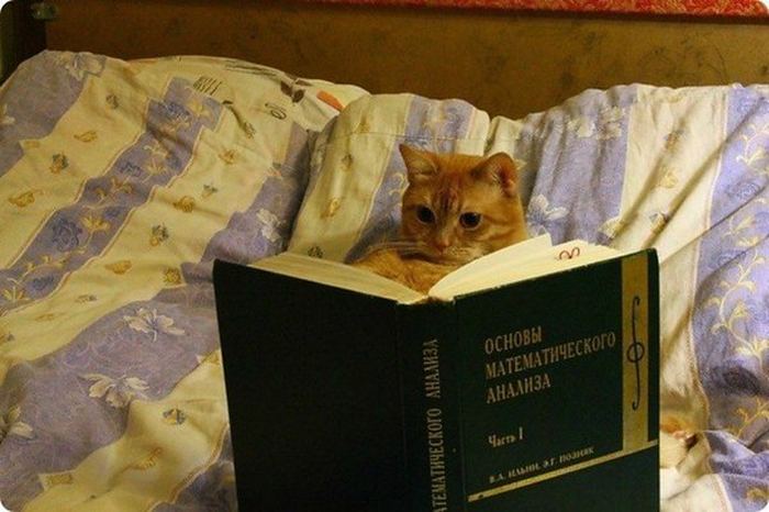 VFL.RU -  