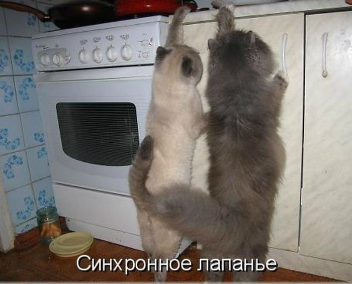 VFL.RU -  