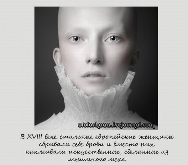 VFL.RU -  