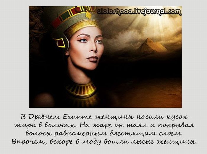 VFL.RU -  