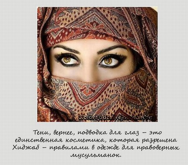 VFL.RU -  
