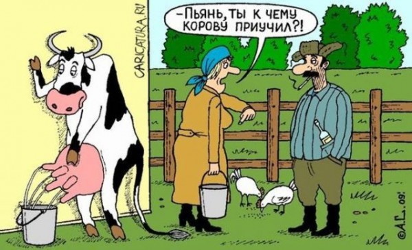 https://images.vfl.ru/ii/1741636826/81f01dea/39749975.jpg