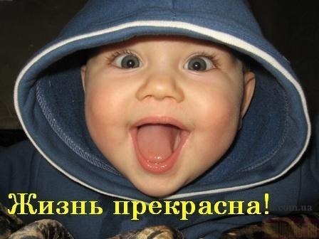 VFL.RU -  