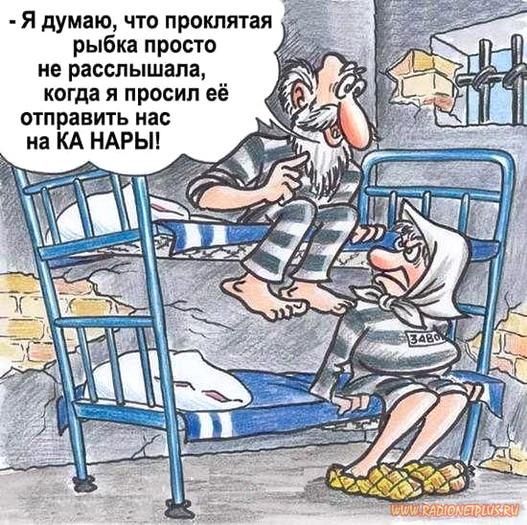VFL.RU -  