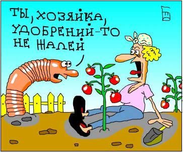 VFL.RU -  