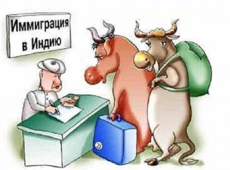 VFL.RU -  