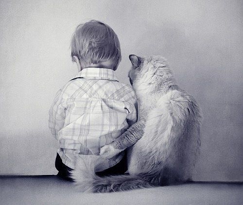 VFL.RU -  