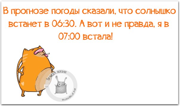VFL.RU -  