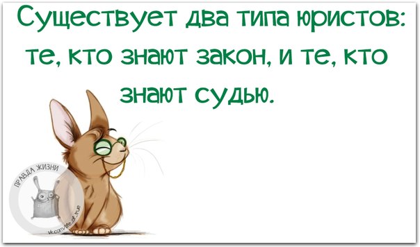 VFL.RU -  