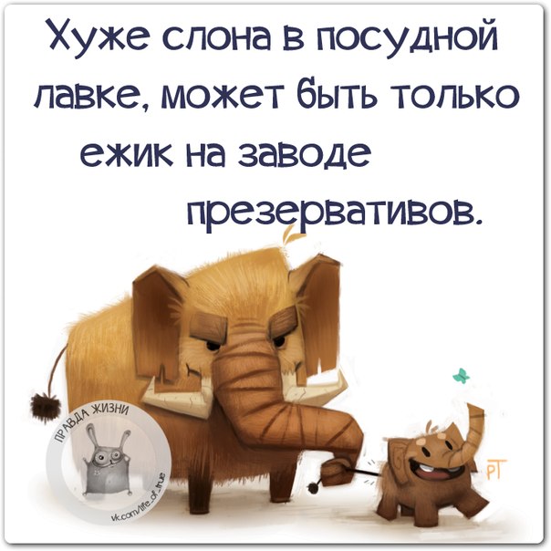 VFL.RU -  