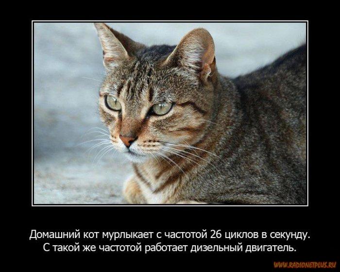 VFL.RU -  