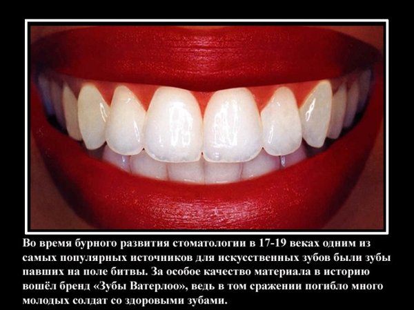 VFL.RU -  