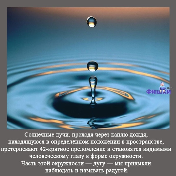 VFL.RU -  