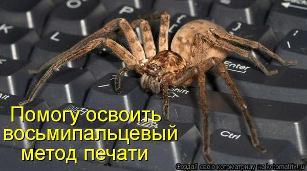 VFL.RU -  
