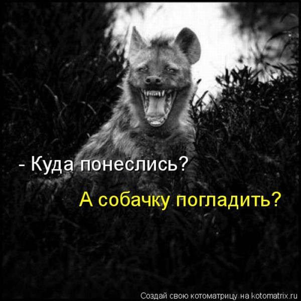 VFL.RU -  