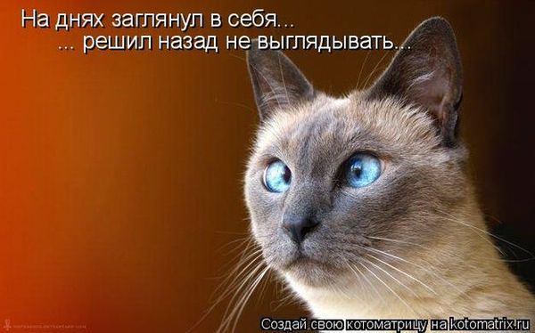 VFL.RU -  