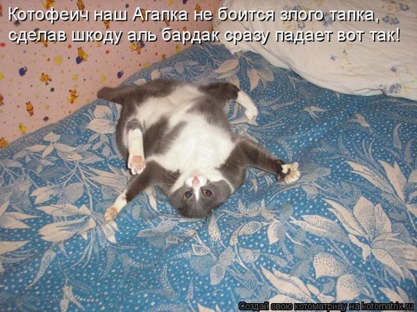 VFL.RU -  
