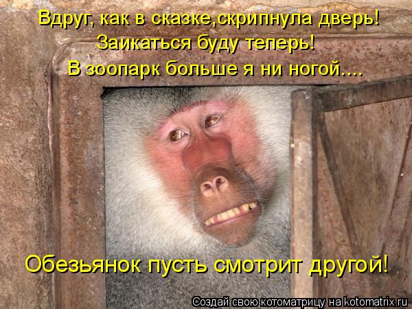 VFL.RU -  