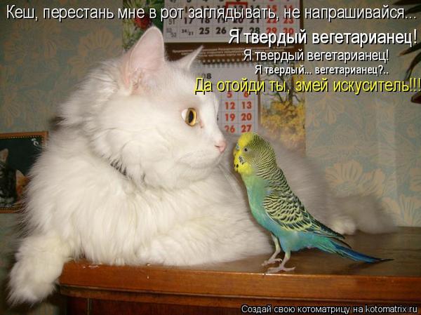 VFL.RU -  