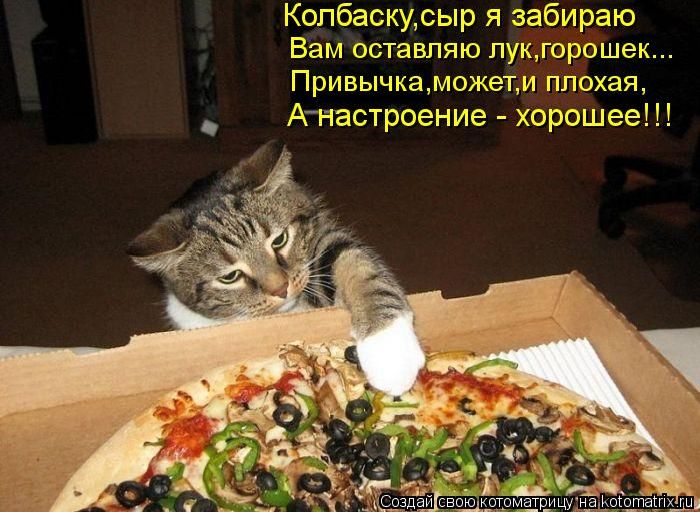 VFL.RU -  