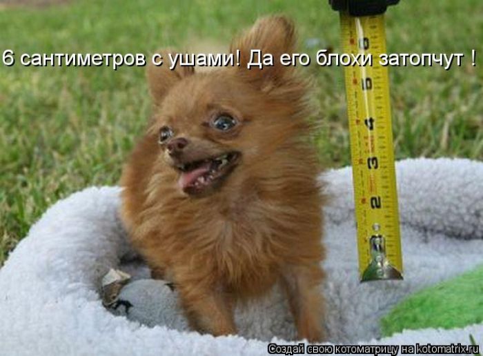 VFL.RU -  