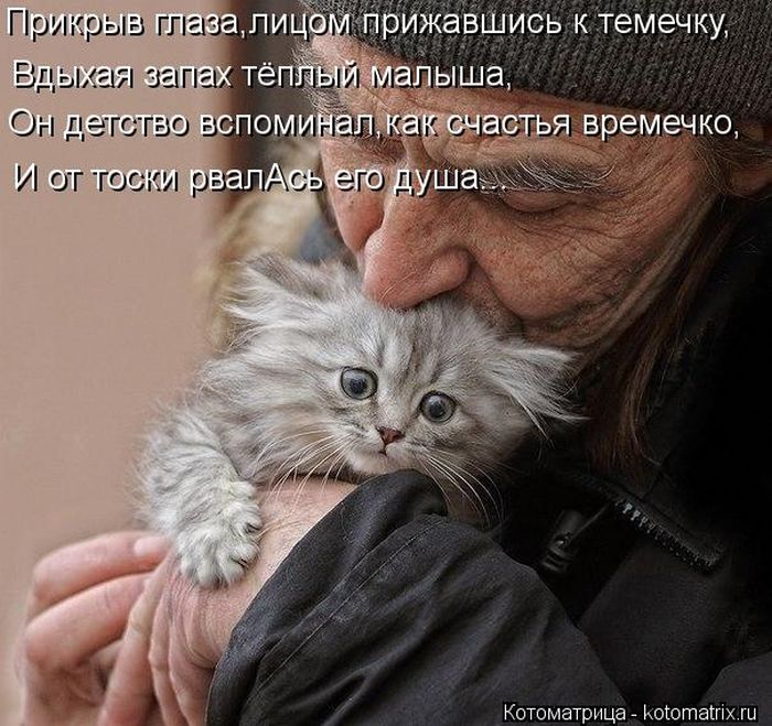 VFL.RU -  