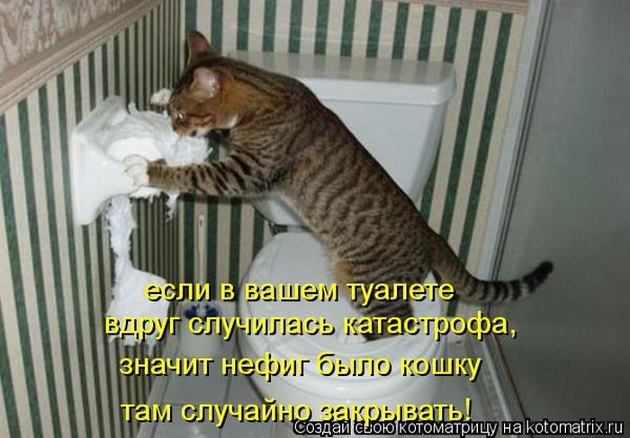 VFL.RU -  