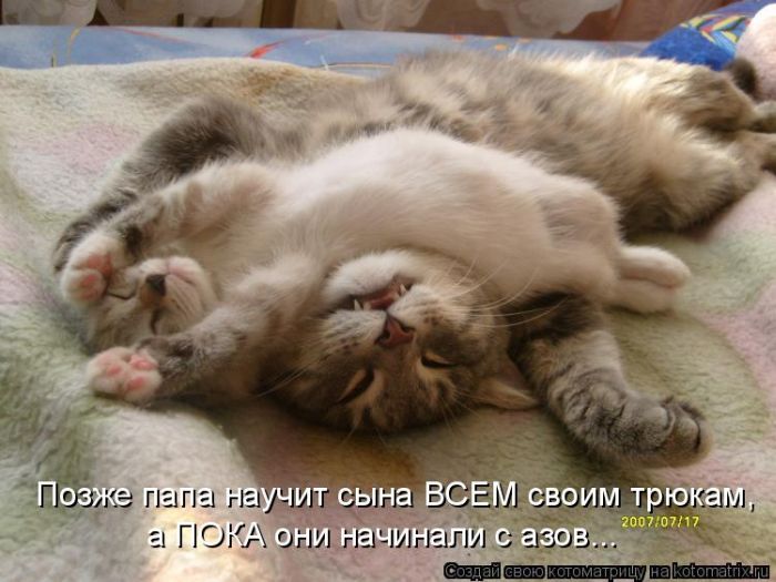VFL.RU -  