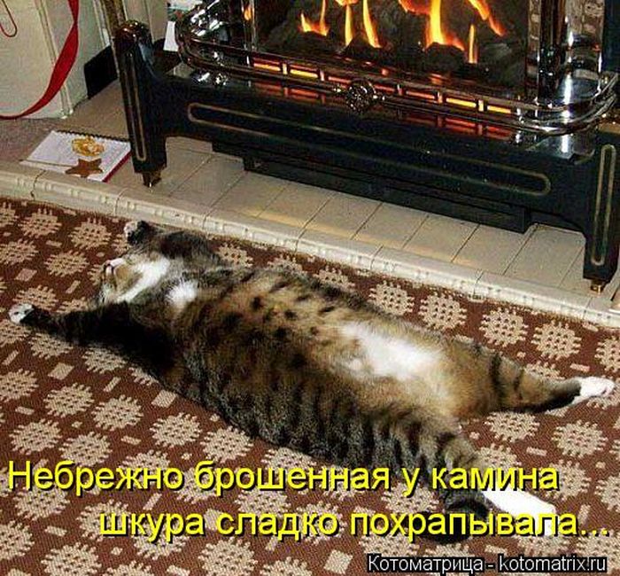 VFL.RU -  