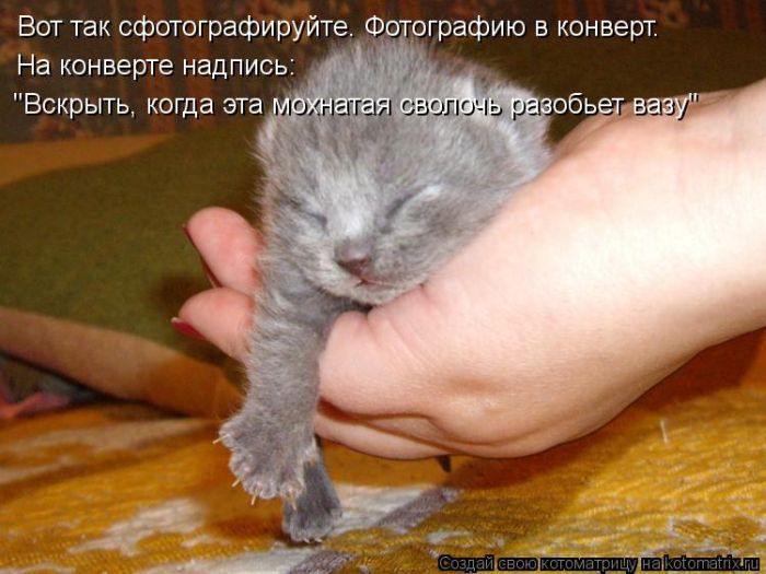 VFL.RU -  