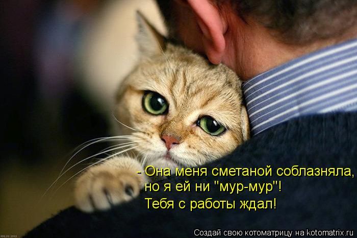 VFL.RU -  