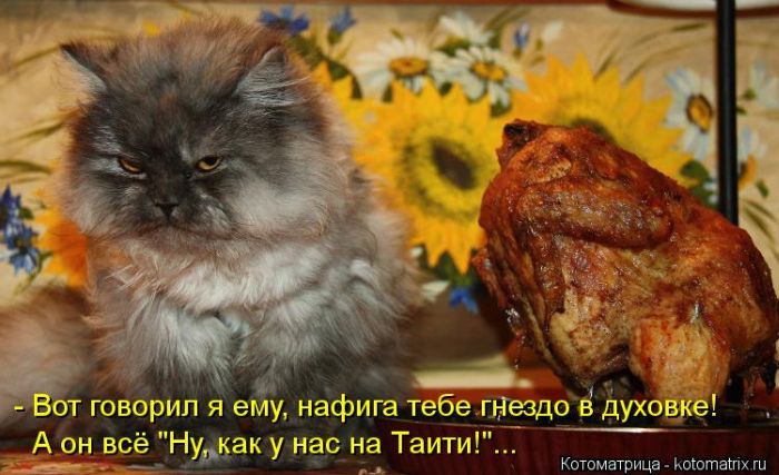 VFL.RU -  