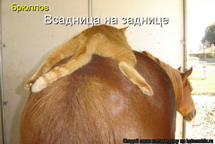 VFL.RU -  
