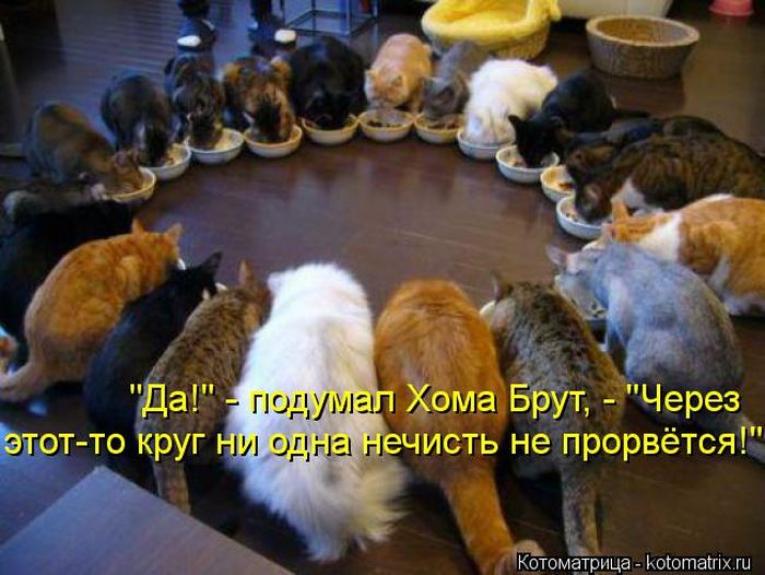 VFL.RU -  