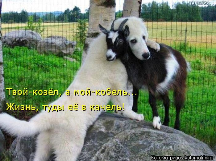 VFL.RU -  