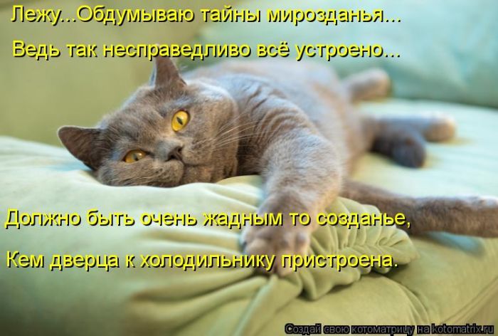 VFL.RU -  
