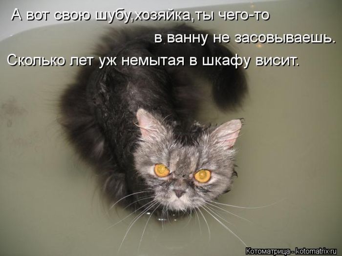 VFL.RU -  