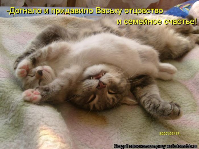 VFL.RU -  