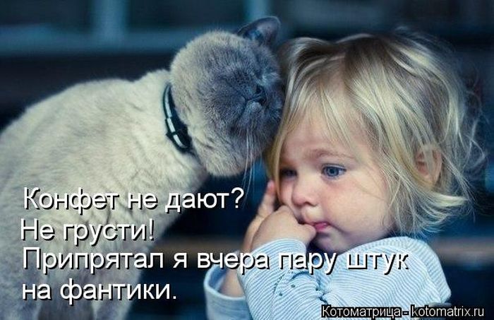 VFL.RU -  