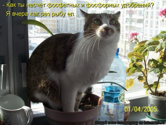 VFL.RU -  