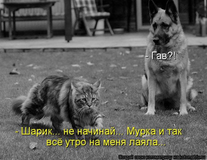VFL.RU -  