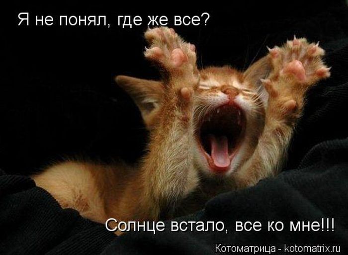 VFL.RU -  