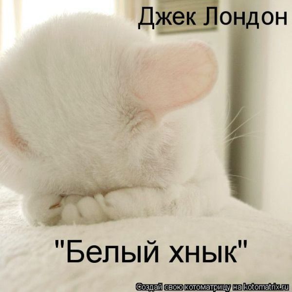 VFL.RU -  